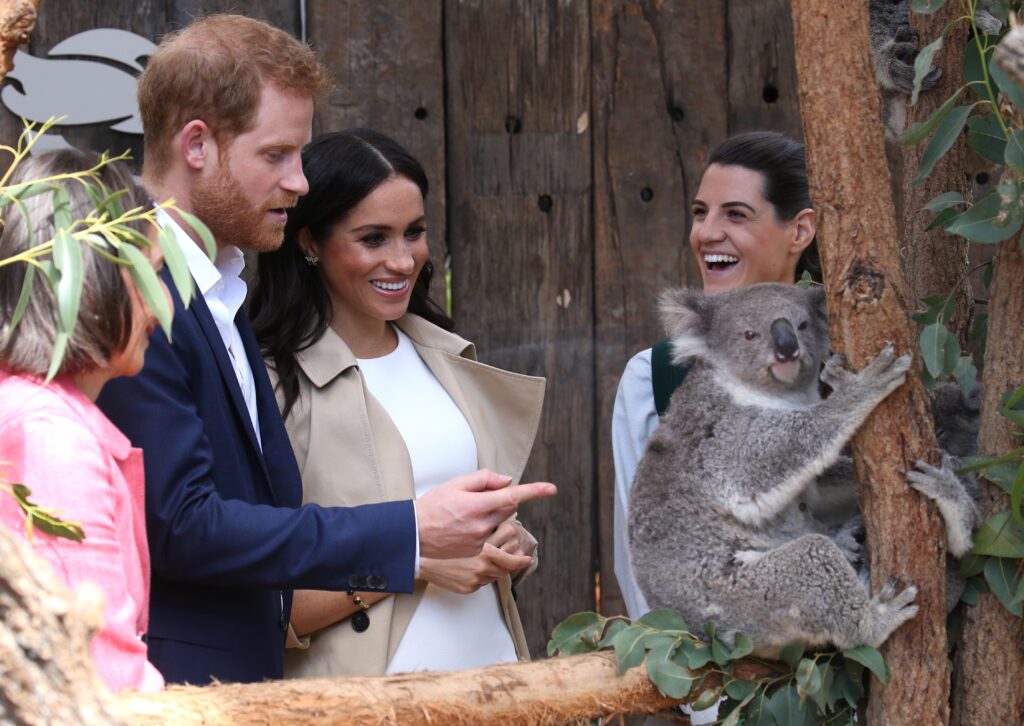 Duke and Duchess of Sussex